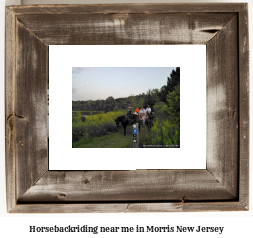 horseback riding near me in Morris, New Jersey